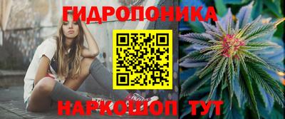 гидра Краснознаменск