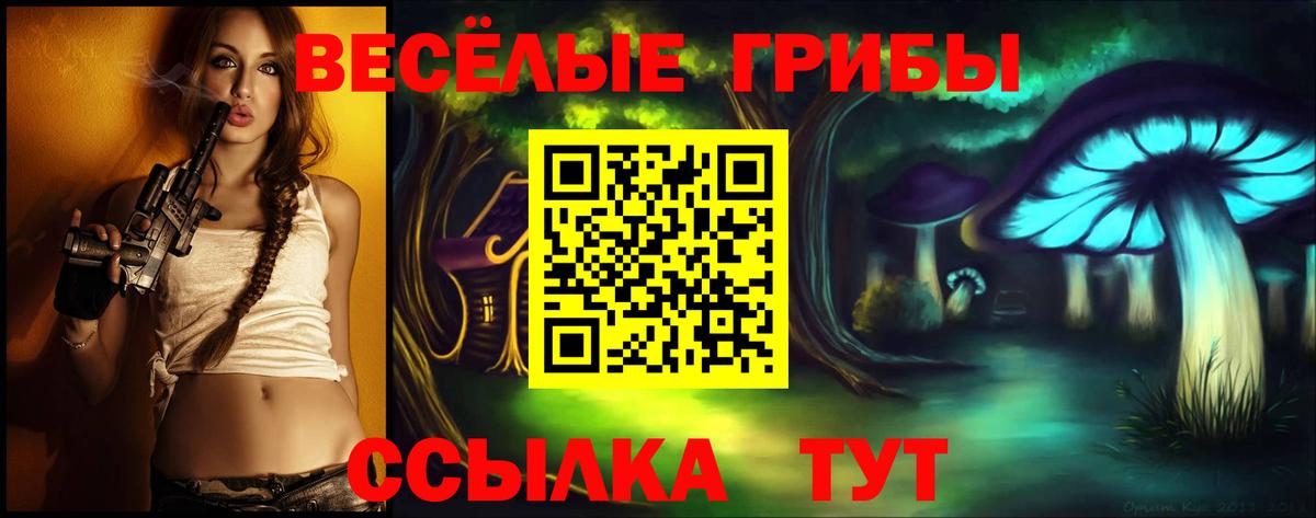 хочу наркоту  Вход с VPN  Кимры  Псилоцибиновые грибы Psilocybine cubensis 